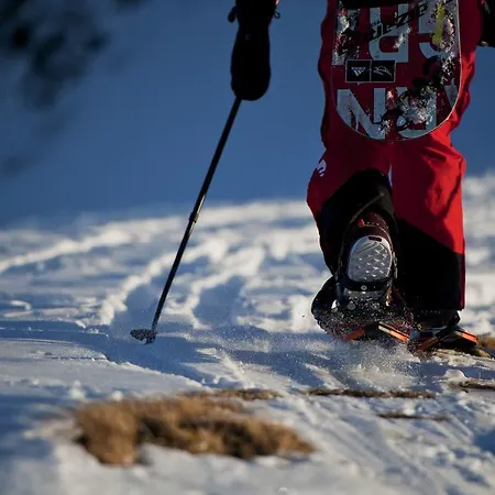 Alpina Hotell Saalbach-Hinterglemm