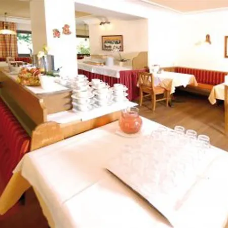 Hotel Alpina Saalbach-Hinterglemm