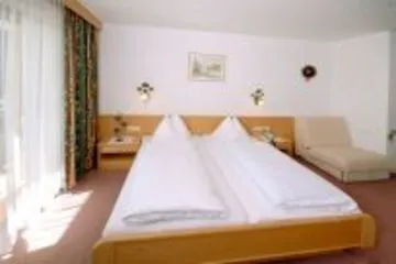 Hotel Alpina 2*